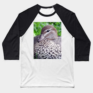 Australian Wood Duck Baseball T-Shirt